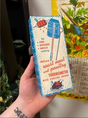 Vintage Deluxe Roast Meat & Poultry Thermometer - Retro Blue & Cream Box